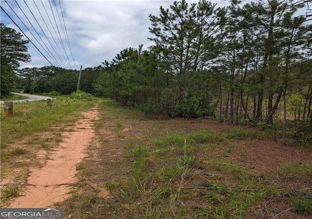 Photo 3 of Land for sale at 7900 Downs Rd, Winston, GA 30187 | MLS# 10806518 | Listing updated on 2026-07-30