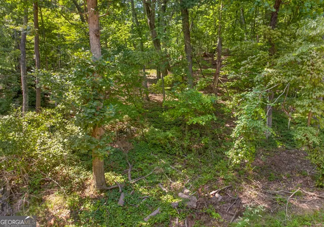 Photo 3 of Land for sale at 0 Waters Edge Dr, Clarkesville, GA 30523 | MLS# 10826930 | Listing updated on 2026-08-30
