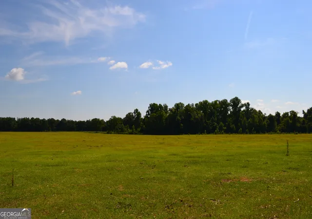 Homes for sale in Midville, GA | Bishop Canoochee Rd, Midville, GA 30441 | MLS# 10804723