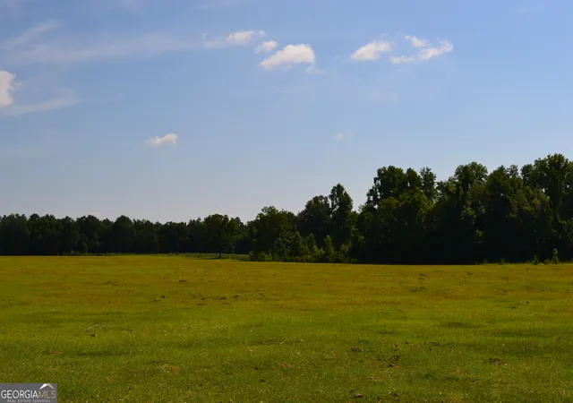 Homes for sale in Midville, GA | Bishop Canoochee Rd, Midville, GA 30441 | MLS# 10804723