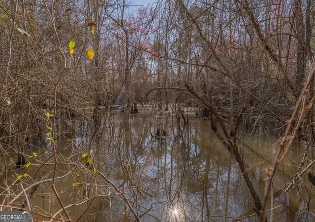 47th image of Lot 7 Golf Course Rd, Eastman, GA 31023 | MLS# 10704464