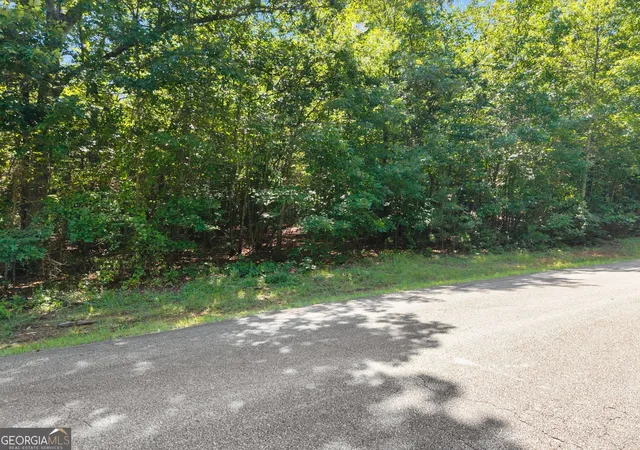 3rd image of 0 Hwy 255, Cleveland, GA 30528 | MLS# 10809924