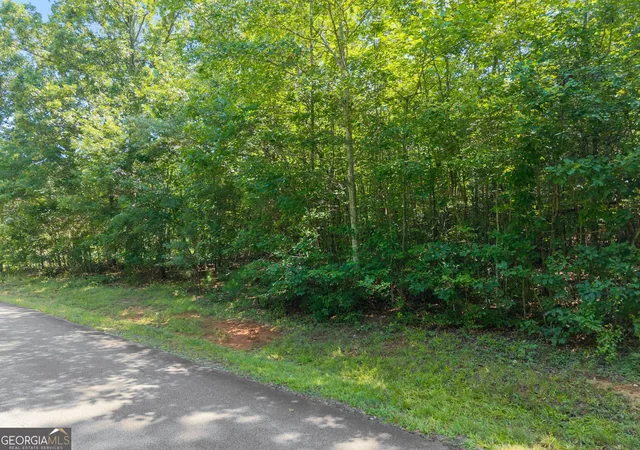 5th image of 0 Hwy 255, Cleveland, GA 30528 | MLS# 10809924