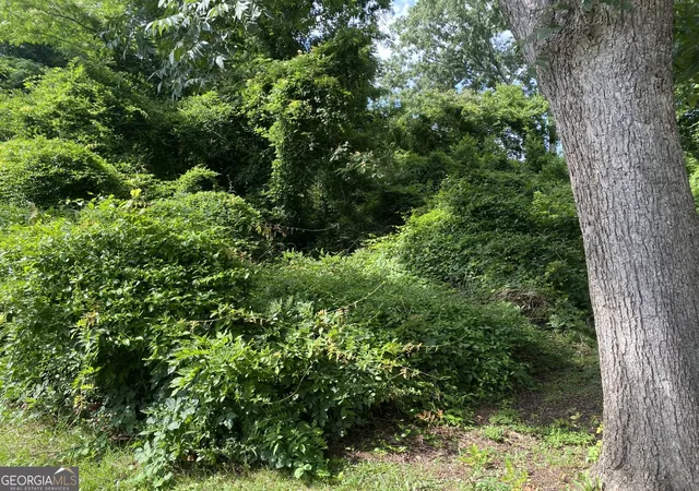 1st image of 0 Dogwood North Ave, Social Circle, GA 30025 | MLS# 10789786