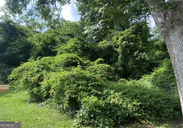 Photo 3 of Land for sale at 0 Dogwood N Ave, Social Circle, GA 30025 | MLS# 10789786 | Listing updated on 2026-09-19