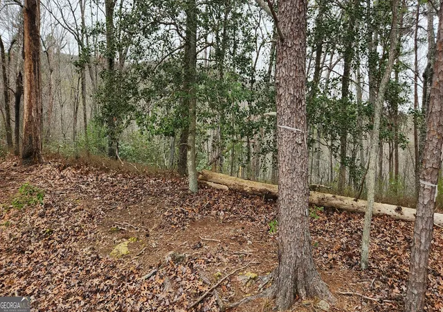 1st image of 361 Vista Dell Lane, Tallulah Falls, GA 30573 | MLS# 10661528