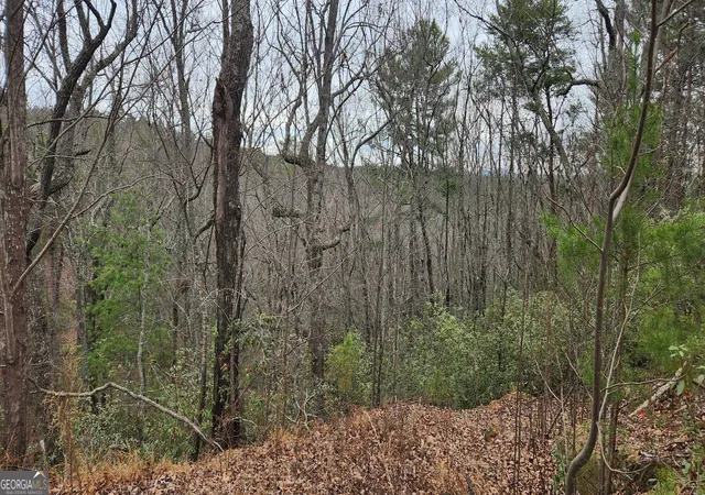 2nd image of 361 Vista Dell Lane, Tallulah Falls, GA 30573 | MLS# 10661528