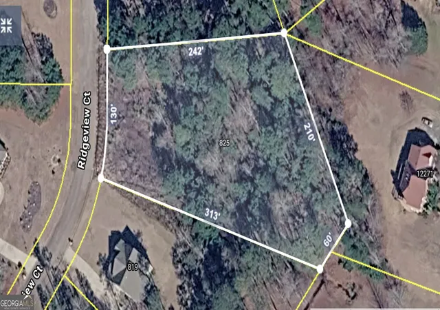 2nd image of 825 Ridgeview Ct, Hampton, GA 30228 | MLS# 10820232