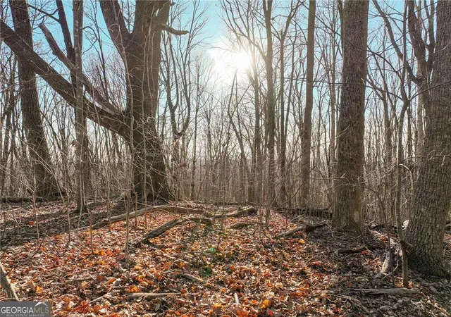 23rd image of Lot 4 Mount Mincie Rd, Murrayville, GA 30564 | MLS# 10823127
