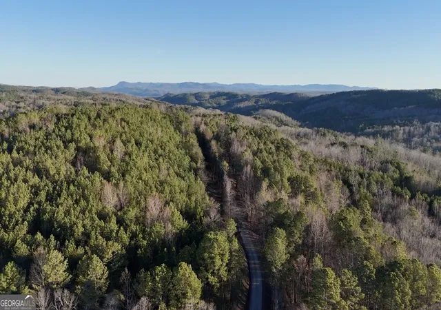Photo 4 of Land for sale at 1 E Dry Pond Rd #1, Ranger, GA 30734 | MLS# 10707604 | Listing updated on 2026-08-31