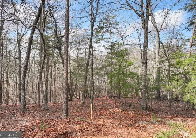 5th image of Lot 20 Crown Mountain Wy, Dahlonega, GA 30533 | MLS# 10823140