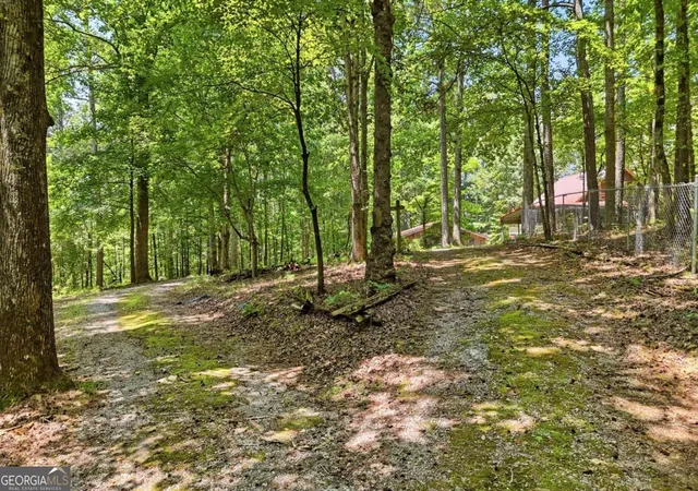 51st image of 1525 Sperin Rd, Ball Ground, GA 30107 | MLS# 10819424