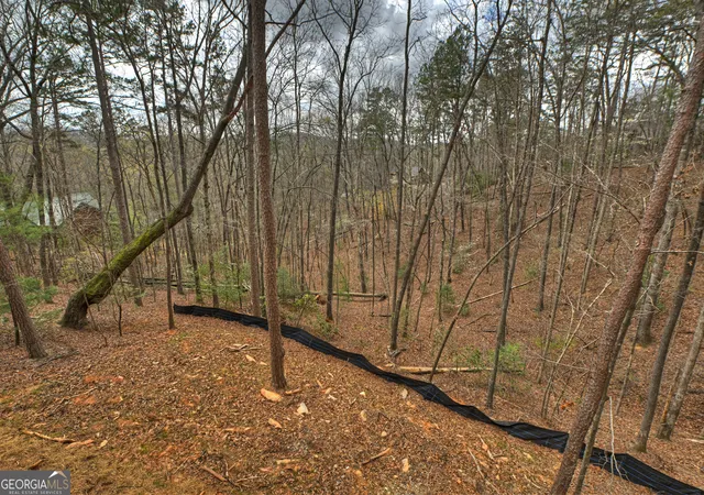 Homes for sale in Cherry Log, GA | 962 Maggie Chapman Rd, Cherry Log, GA 30522 | MLS# 10726375