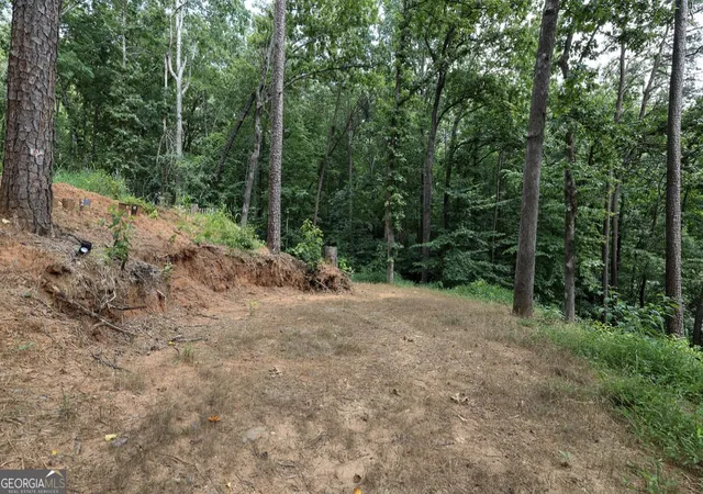Photo 3 of Land for sale at 0 Cardinal Ln, Toccoa, GA 30577 | MLS# 10803709 | Listing updated on 2026-09-03