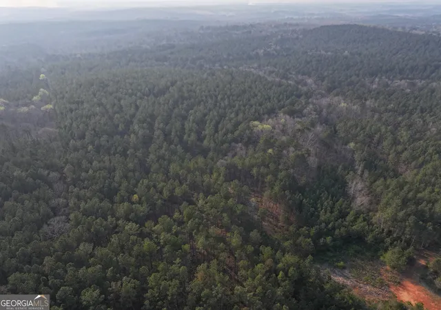 Photo 1 of Land for sale at 117 +/ Acres On Mccosh Ml Rd, Franklin, GA 30217 | MLS# 10773990 | Listing updated on 2026-06-18
