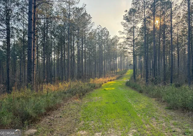 Photo 2 of House for sale at 117 +/ Acres On Mccosh Ml Rd, Franklin, GA 30217 | MLS# 10773990 | Listing updated on 2026-06-18