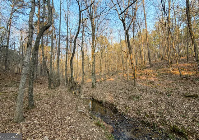 Photo 4 of House for sale at 117 +/ Acres On Mccosh Ml Rd, Franklin, GA 30217 | MLS# 10773990 | Listing updated on 2026-06-18