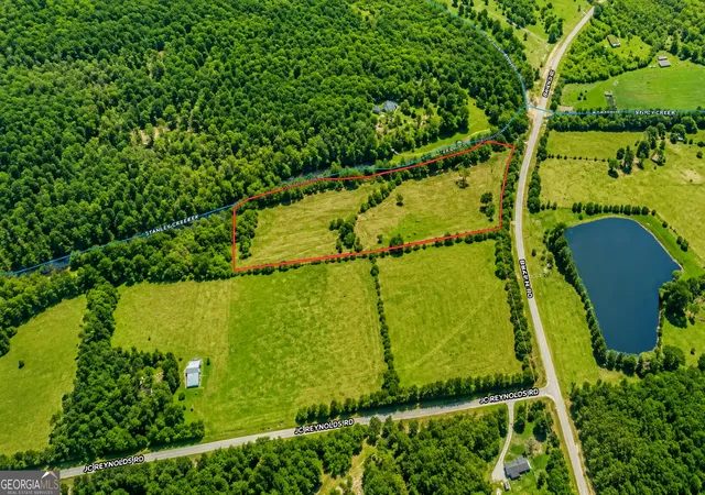 4th image of 765 Acres Baker Rd, Shiloh, GA 31826 | MLS# 10831406