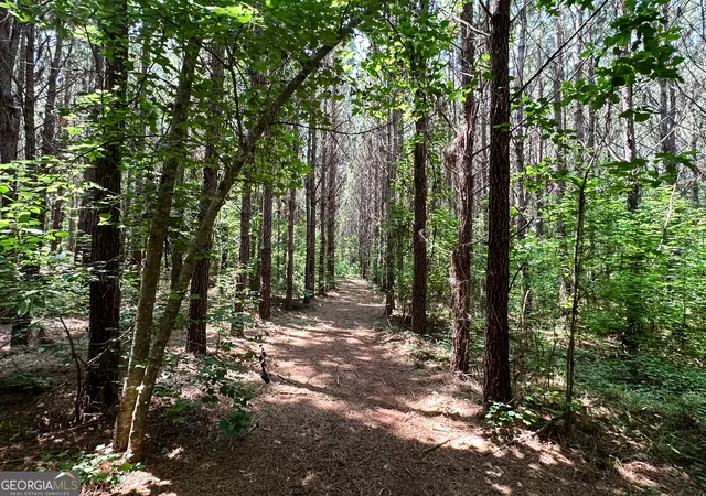 39th image of 0 Jordan Rd #17.79 ACRES, Monticello, GA 31064 | MLS# 10814117
