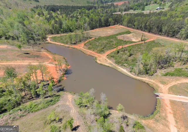 94th image of 4348 Marshall Stewart Rd, Crawfordville, GA 30631 | MLS# 10823282