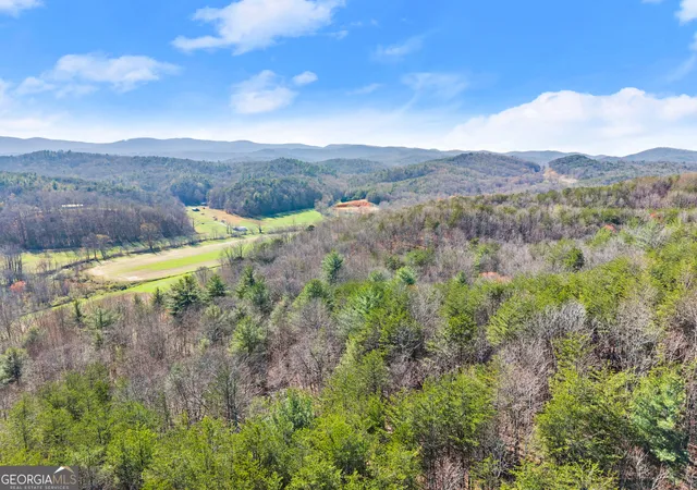1st image of 0 Elliott Family Parkway, Dawsonville, GA 30534 | MLS# 10715211