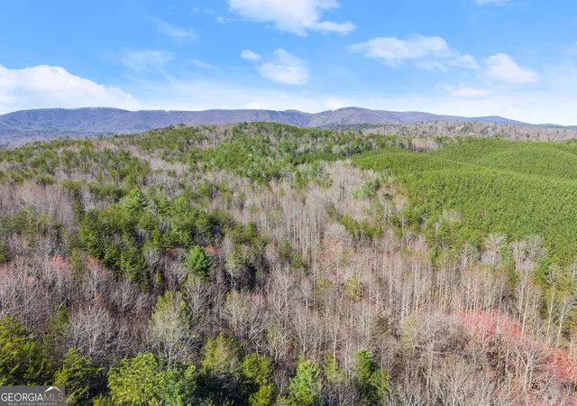30th image of 0 Elliott Family Parkway, Dawsonville, GA 30534 | MLS# 10715211