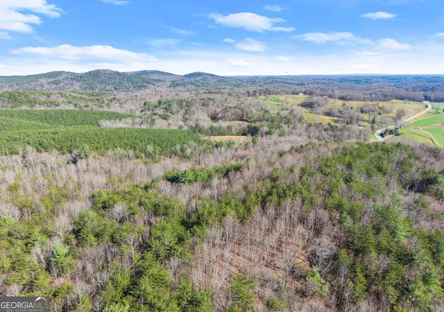 3rd image of 0 Elliott Family Parkway, Dawsonville, GA 30534 | MLS# 10715211