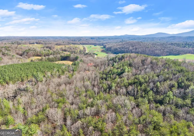 4th image of 0 Elliott Family Parkway, Dawsonville, GA 30534 | MLS# 10715211