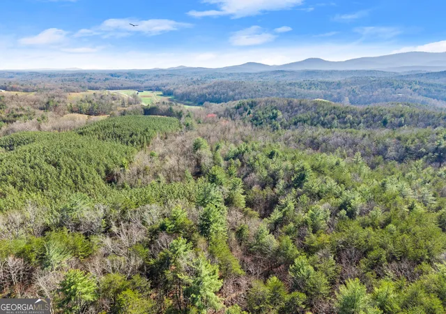5th image of 0 Elliott Family Parkway, Dawsonville, GA 30534 | MLS# 10715211