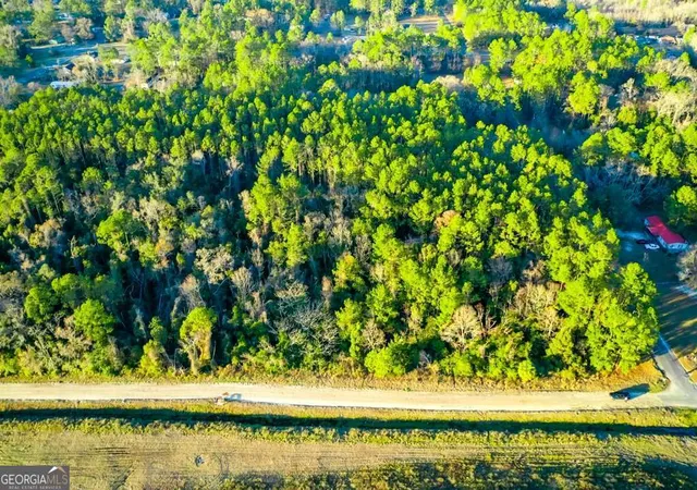 Photo 2 of Land for sale at 0 Cabinet St, Waycross, GA 31501 | MLS# 10797524 | Listing updated on 2026-07-16