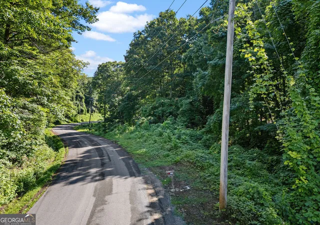 3rd image of 0 Shinbone Ridge Rd, La Fayette, GA 30728 | MLS# 10790339
