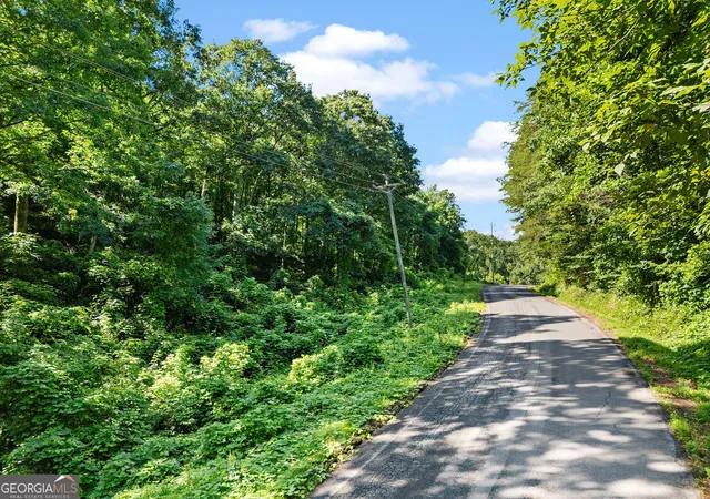 4th image of 0 Shinbone Ridge Rd, La Fayette, GA 30728 | MLS# 10790339