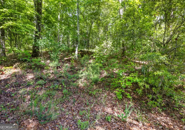 18th image of 721 Rausch Rdg, Chattahoochee Hills, GA 30268 | MLS# 10762951