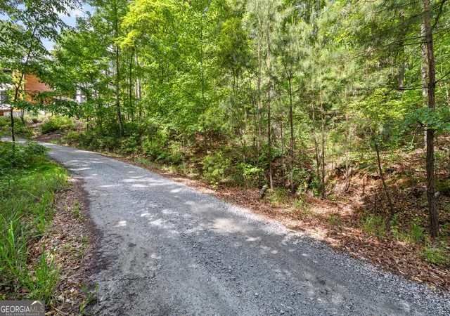 3rd image of 721 Rausch Rdg, Chattahoochee Hills, GA 30268 | MLS# 10762951