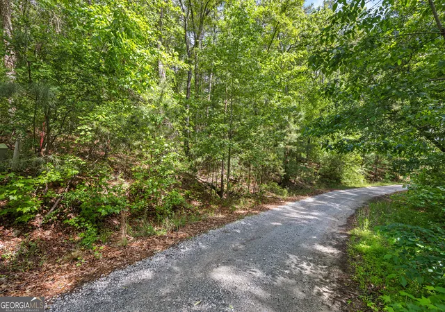 4th image of 721 Rausch Rdg, Chattahoochee Hills, GA 30268 | MLS# 10762951