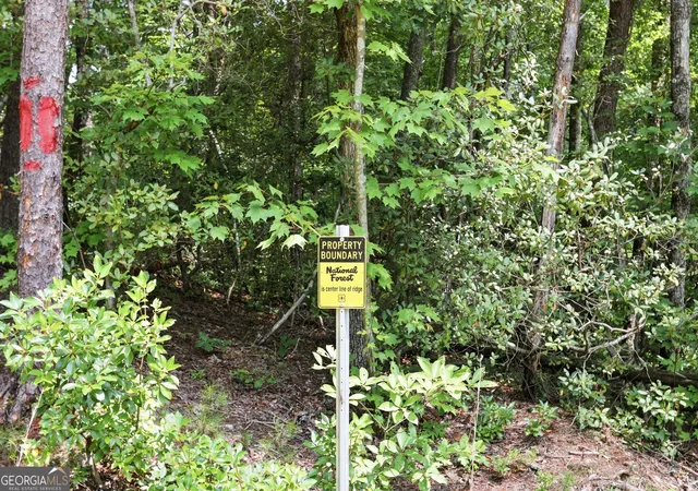 3rd image of 121 Waterfalls Wy, Clarkesville, GA 30523 | MLS# 10825691