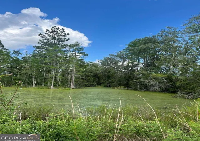 15th image of 456 W Hwy 37, Lakeland, GA 31635 | MLS# 10792068