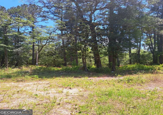 Homes for sale in Reidsville, GA | 608 Bass Rd, Reidsville, GA 30453 | MLS# 10767106