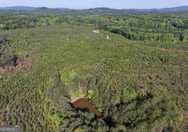 3rd image of 118 +/ Acres On Lumpkin Rd, Cedartown, GA 30125 | MLS# 10764212