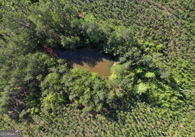 4th image of 118 +/ Acres On Lumpkin Rd, Cedartown, GA 30125 | MLS# 10764212