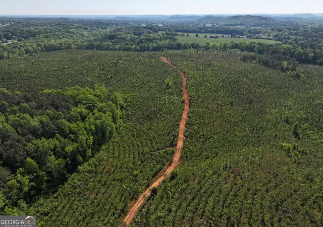 5th image of 118 +/ Acres On Lumpkin Rd, Cedartown, GA 30125 | MLS# 10764212
