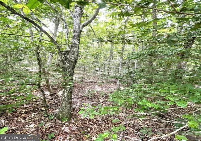 5th image of 0 Stewart Rd, Graysville, TN 37338 | MLS# 10768370