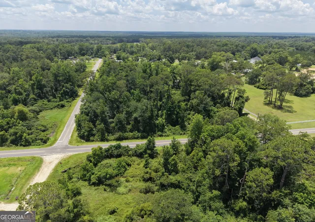 2nd image of 0 Center Ave, Helena, GA 31037 | MLS# 10819278