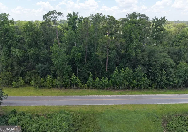 3rd image of 0 Center Ave, Helena, GA 31037 | MLS# 10819278