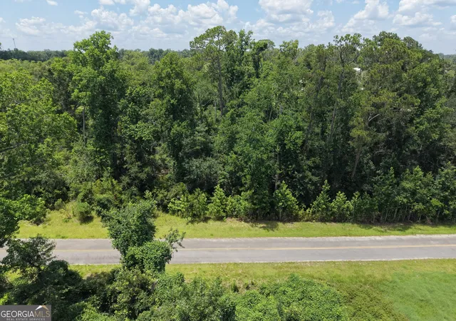 4th image of 0 Center Ave, Helena, GA 31037 | MLS# 10819278