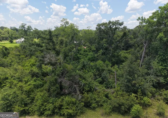 5th image of 0 Center Ave, Helena, GA 31037 | MLS# 10819278
