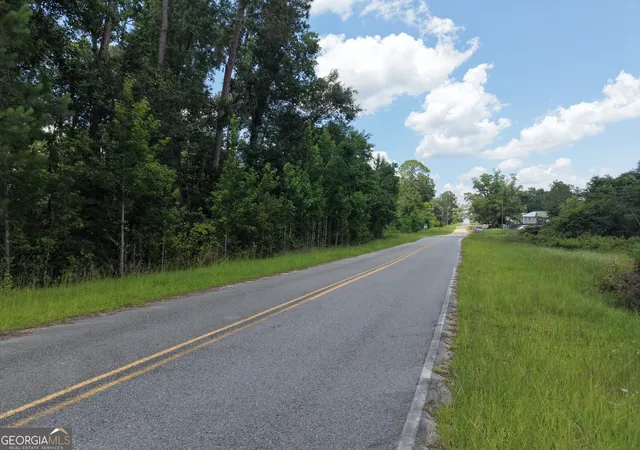 8th image of 0 Center Ave, Helena, GA 31037 | MLS# 10819278