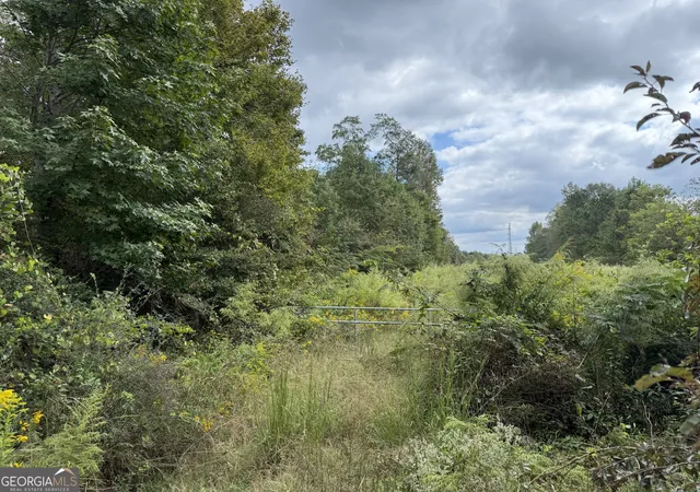 1st image of 0 Magnolia Ave, Bowdon, GA 30108 | MLS# 10614572