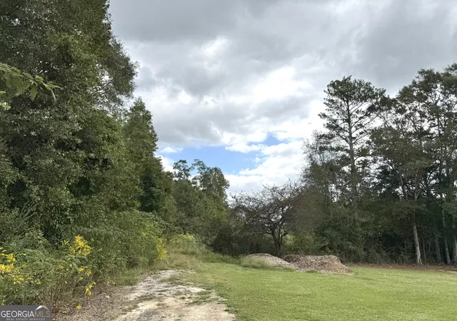 3rd image of 0 Magnolia Ave, Bowdon, GA 30108 | MLS# 10614572