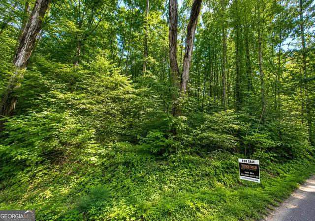 Photo 1 of Land for sale at 00 Salem Rd, Rossville, GA 30741 | MLS# 10827027 | Listing updated on 2026-09-19